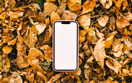 Smartphone with white screen mockup on yellow leaves top view.