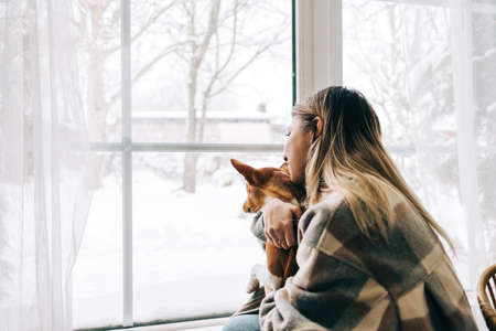 Young caucasian happy woman sitting near window with her dog in winter holidays, looking outside.の写真素材