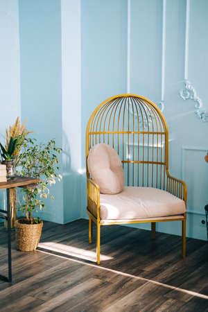 Stylish armchair in bright living room with house plants.の写真素材