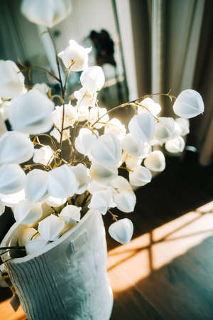 White decorative flowers near big mirror in sunlight in living room.の写真素材