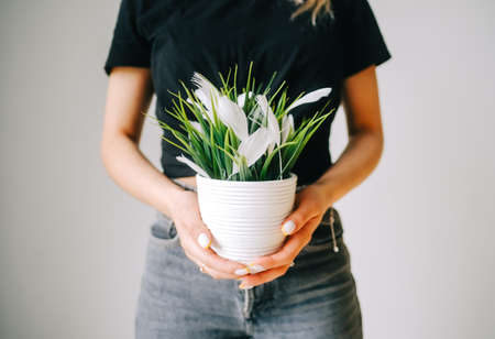Young caucasian woman holding potted flowers on a white background.の写真素材
