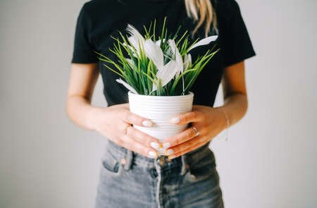 Young caucasian woman holding potted flowers on a white background.の写真素材