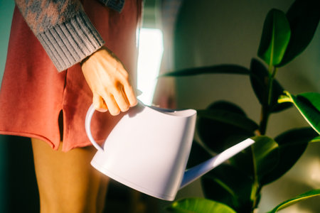 Caucasian woman holding watering can, care for houseplants in home garden.の写真素材