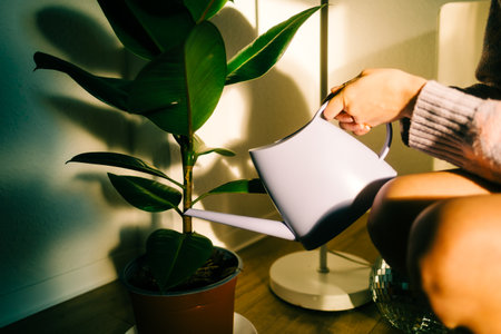 Caucasian woman holding watering can, care for houseplants in home garden.の写真素材