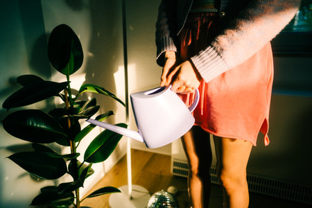 Caucasian woman holding watering can, care for houseplants in home garden.の写真素材