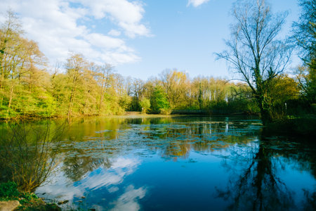 Landscape of the lake in natural parkland in Europe.の写真素材