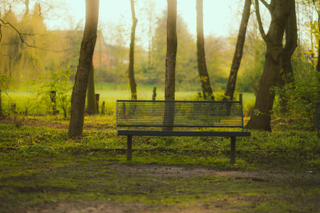 Fairytale sunset landscape empty bench in the park.の写真素材