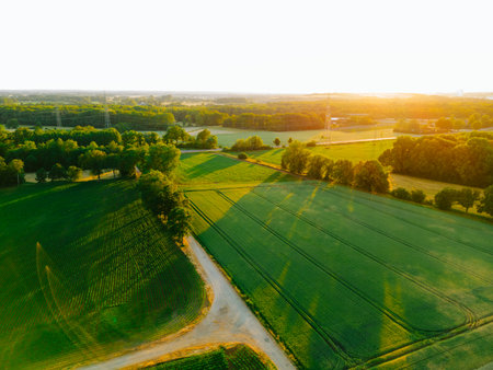 Aerial drone shot of agricultural fields of wheat , corn and other in sunny summer day. Countryside landscape Germanyの写真素材
