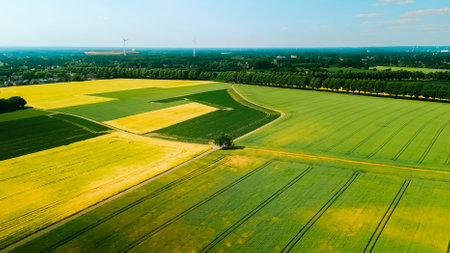 Aerial drone shot of agricultural fields of wheat , corn and other in sunny summer day. Countryside landscape Germanyの写真素材