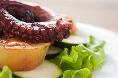 Baked octopus with potatoes on lettuce leafの写真素材