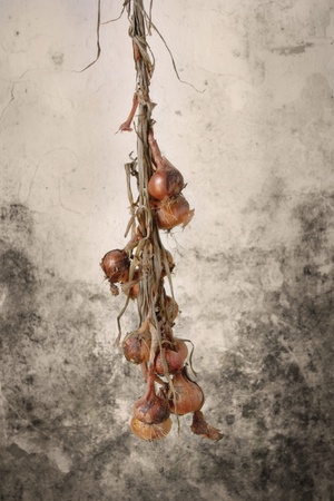 Heap of onions hanging in front of the sepia textured background.の写真素材