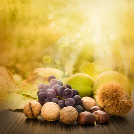 Nature background made of autumn fruit and beautiful sunlight in the back. Grapes, chestnut, vine leaf, walnuts, quince and apples.の写真素材