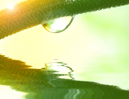 Water drop macro above the water ripplesの写真素材