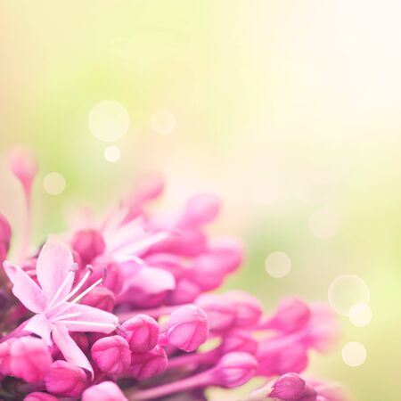 Floral border designの写真素材