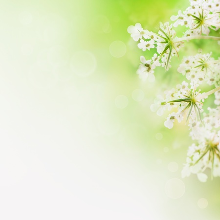 Fresh wildflowers design. Floral abstract background in greenの写真素材