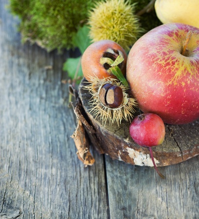 Autumn series. Nature background made of autumn fruit in the forest and beautiful sunlight in the back. Chestnut, vine leaf, wild apple, quince and apples.の写真素材