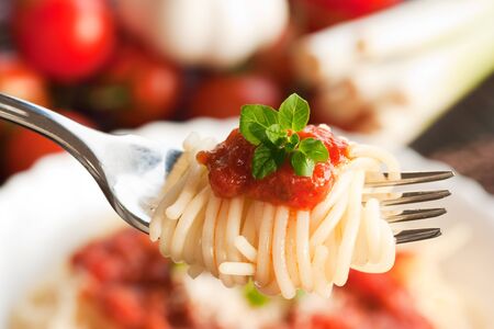 Spaghetti with tomato sauce and ingredients. Cherry tomatoes, onions, garlic and oregano.の写真素材