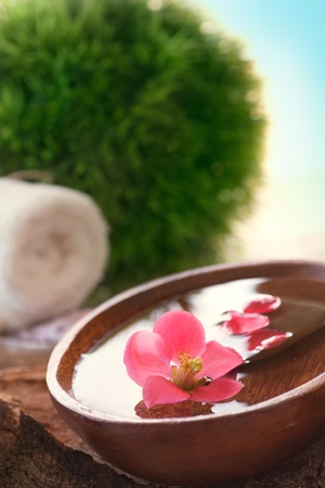Spa setting with water for treatment and flowers.の写真素材