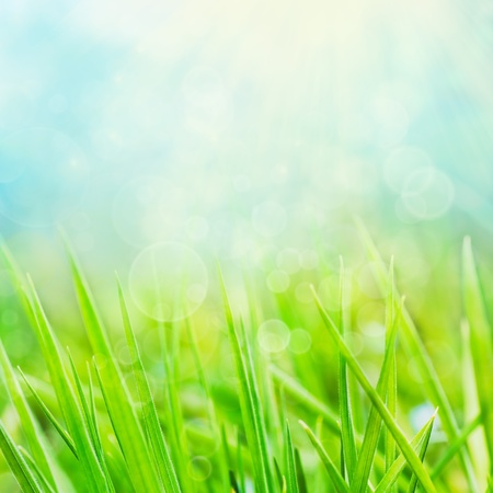 Spring backgroundの写真素材