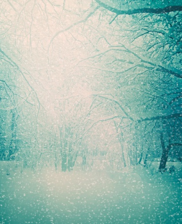 Nature winter snow background. Snow covered forest with bokeh lightsの写真素材