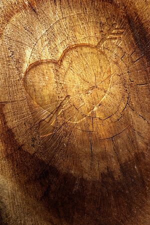 Valentines backgroundの写真素材