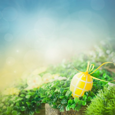 Colorful Easter holiday concept with yellow eggs  in natureの写真素材