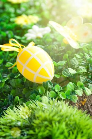 Colorful Easter holiday concept with yellow eggs  in natureの写真素材