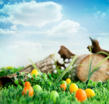 Colorful Easter eggs  Holiday nature concept with easter hunt  Eggs in the sunny meadowの写真素材