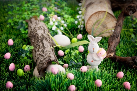 Colorful Easter eggs  Holiday nature concept with easter hunt  Eggs in the sunny meadowの写真素材