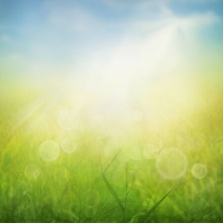 Spring or summer abstract nature background with grass in the meadow and blue sky in the backの写真素材