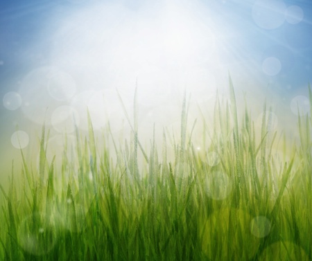 Spring or summer abstract season nature background with grass and bokeh lights の写真素材