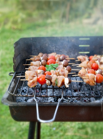 Spring barbecue  Chicken and vegetables barbecue in the gardenの写真素材