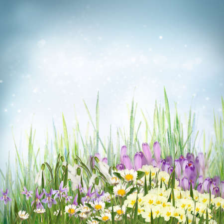 Spring floral backgroundの写真素材