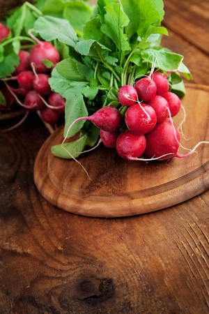 Vegetable background. Fresh radish on woodの写真素材