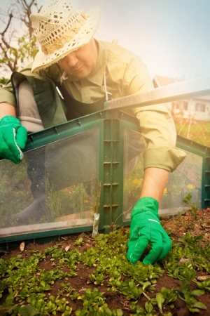 Spring garden concept. Male is doing garden workの写真素材