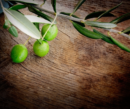 Summer olives nature background with fresh olive branch and olive woodの写真素材