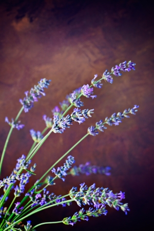 Fresh lavender over wooden background. Summer floral background with lavender flowers and wood.の写真素材