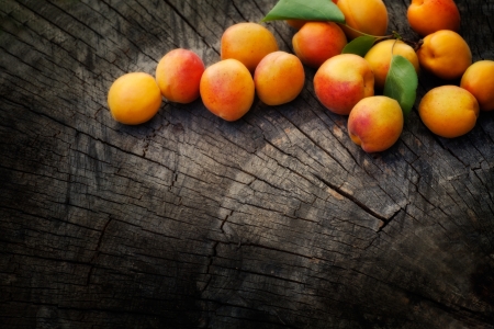 Fruit garden concept. Freshly harvested apricot on old wooden backgroundの写真素材