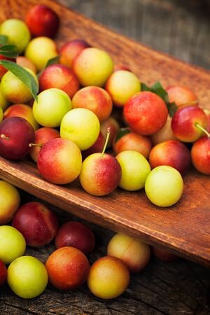 Fruit garden concept. Freshly harvested wild plum on old wooden backgroundの写真素材