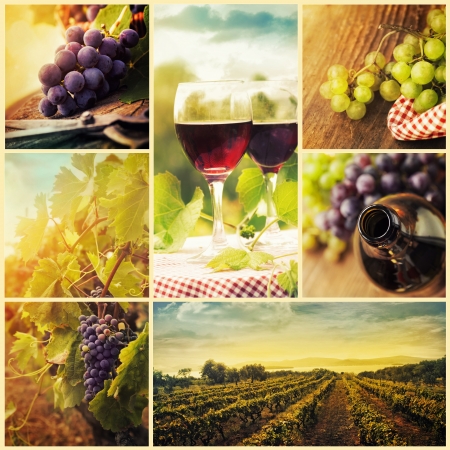 Collage of rustic wine, grapes and vineyard imagesの写真素材