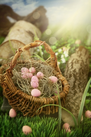 Colorful Easter eggs  Holiday nature concept with easter hunt  Eggs in the sunny meadowの写真素材