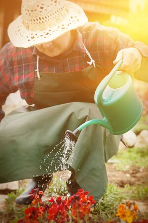 Spring garden concept  Male is doing garden work in herb gardenの写真素材