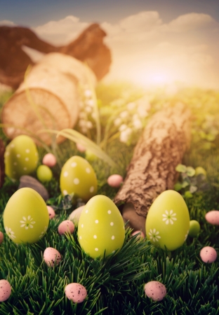 Colorful Easter eggs. Holiday nature concept with easter hunt. Eggs in the sunny meadowの写真素材