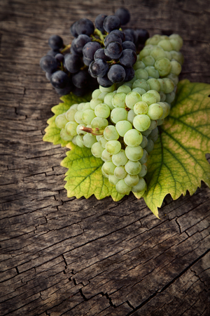 Fresh harvest of grapes. Nature theme with red grapes and yellow wooden background. Nature fruit concept.の写真素材