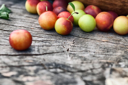 Fruit garden concept  Freshly harvested wild plum on old wooden backgroundの写真素材
