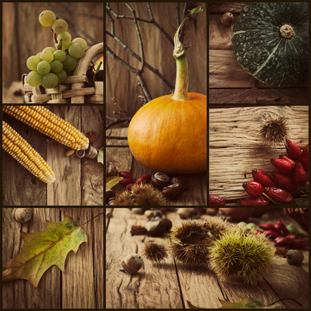 Autumn series. Collage of seasonal autumn fruit. Fall leaves, pumpkins, grapes and acorns on old oak wood.の写真素材