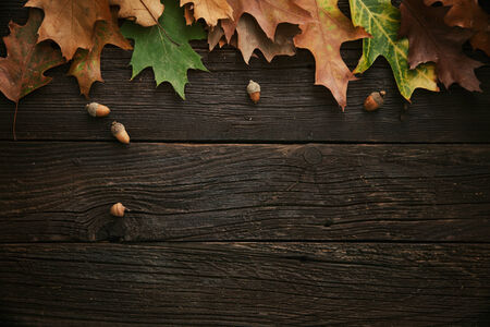 Autumn Leaves on dark wooden background. Autumn background with copy space.