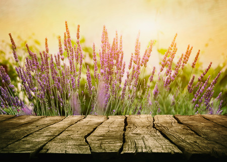 Wooden table with lavender. Wood tabletop with flowersの写真素材
