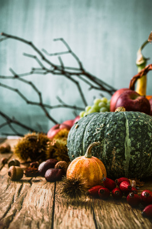 Autumn fruit background. Autumn Thanksgiving seasonal fruit. Nature backgroundの写真素材