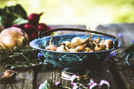 Shallots on wood. Vegetables in rustic settingの写真素材